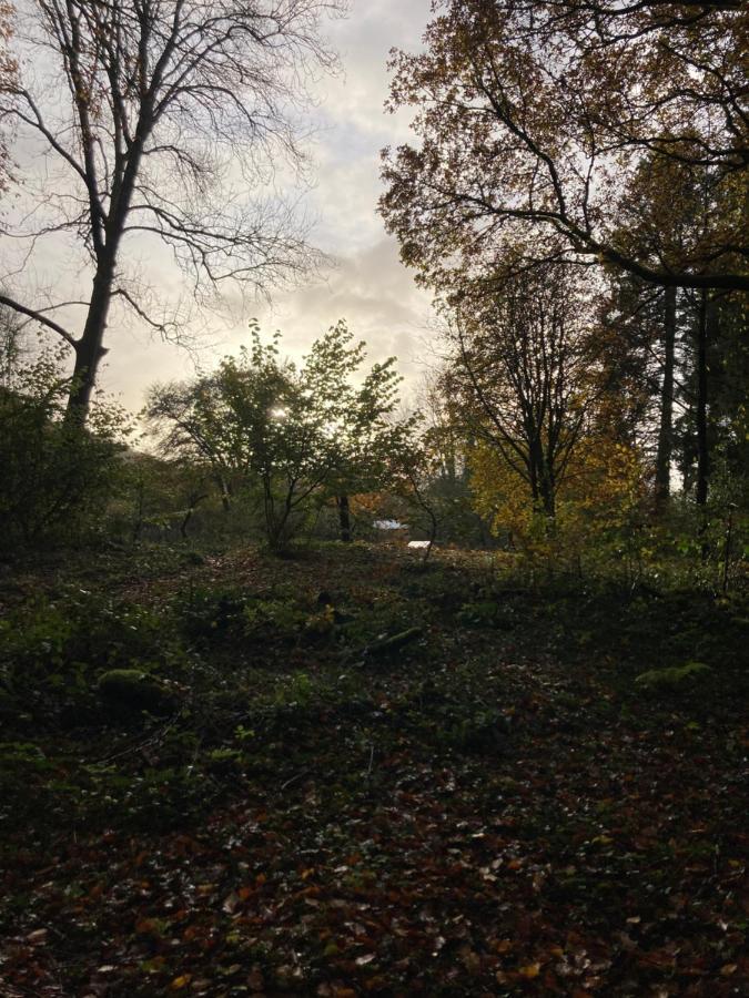 Honey Bee Cabin Llandysul Екстериор снимка