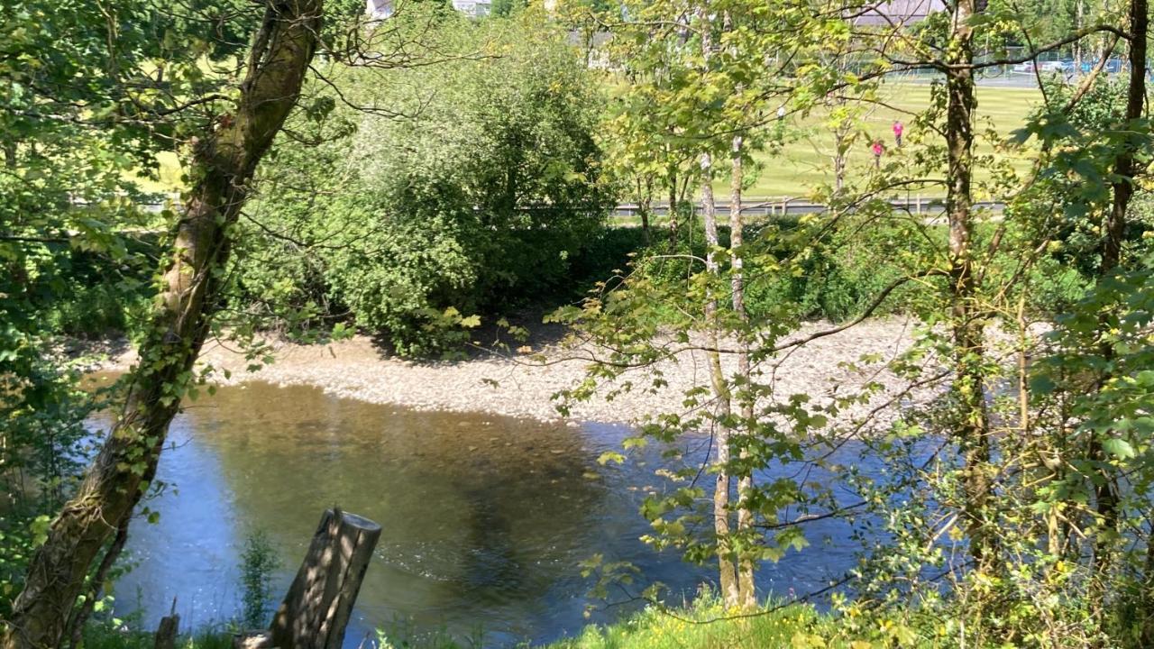Honey Bee Cabin Llandysul Екстериор снимка
